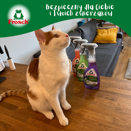 Frosch Lawendowy Ekologiczny Płyn Czyszczący do Łazienki - 500ml