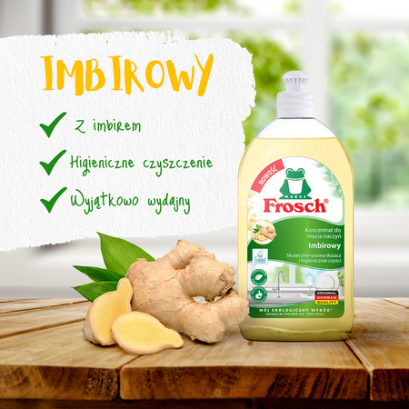 Frosch Ecological Ginger Dishwashing Concentrate 500ml