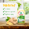 Frosch Ecological Ginger Dishwashing Concentrate 500ml