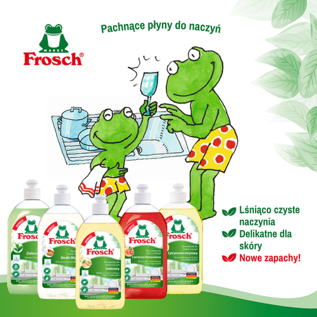 FROSCH Ecological Dishwashing Liquid with Green Tea 500ml