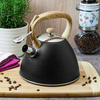 Steel Retro Kettle 3L - Elegance and Durability in Your Kitchen