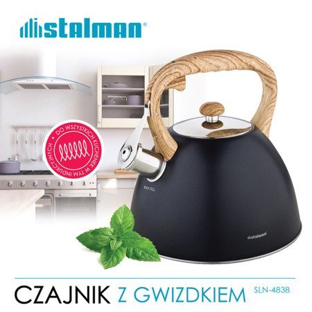 Czajnik z gwizdkiem 2,7 l Gray